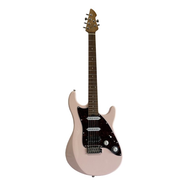 GW-WGS100-PK-1