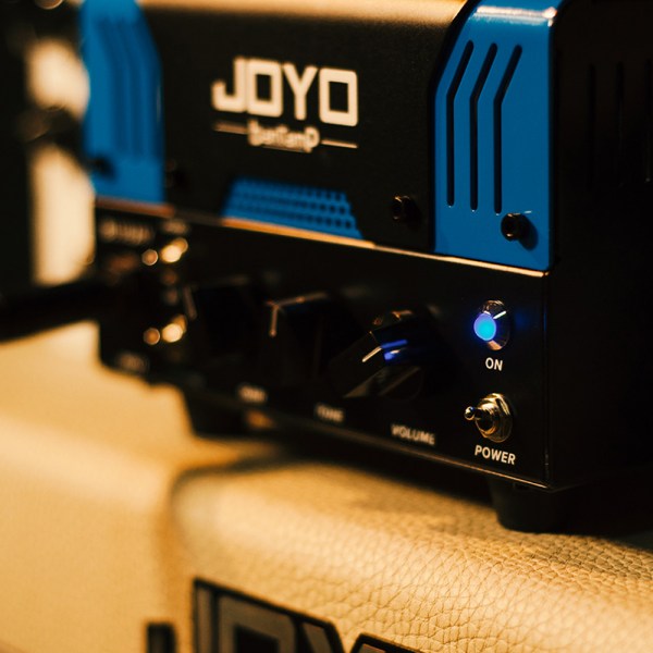 JOY-BLUE-JAY-4